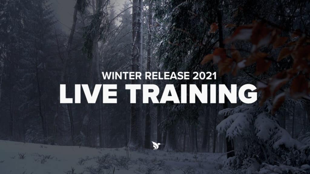 Winter Release 2021