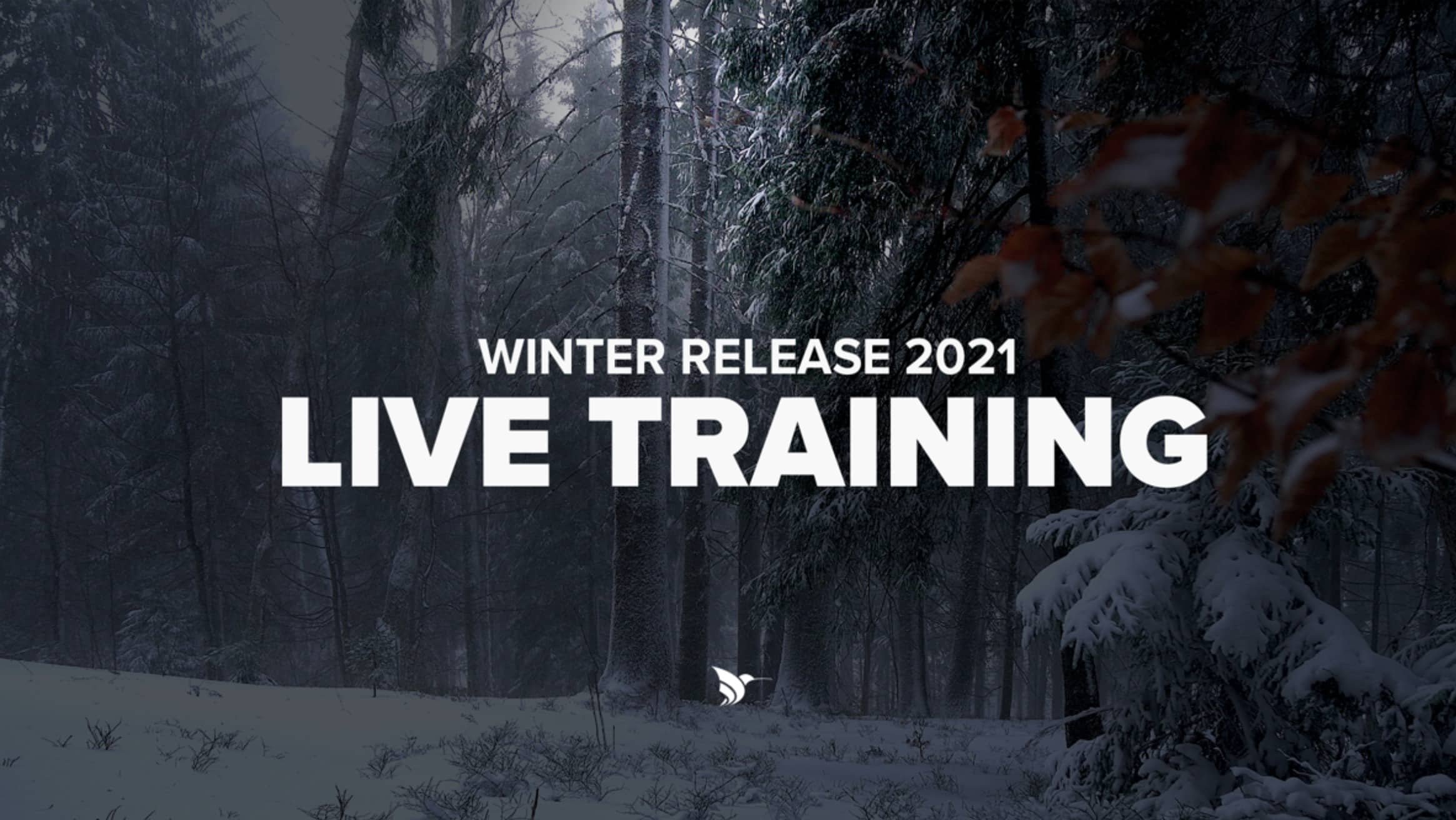 Winter Release 2021