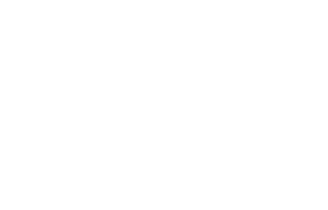 AdvancedMD white bird logo | AdvancedMD
