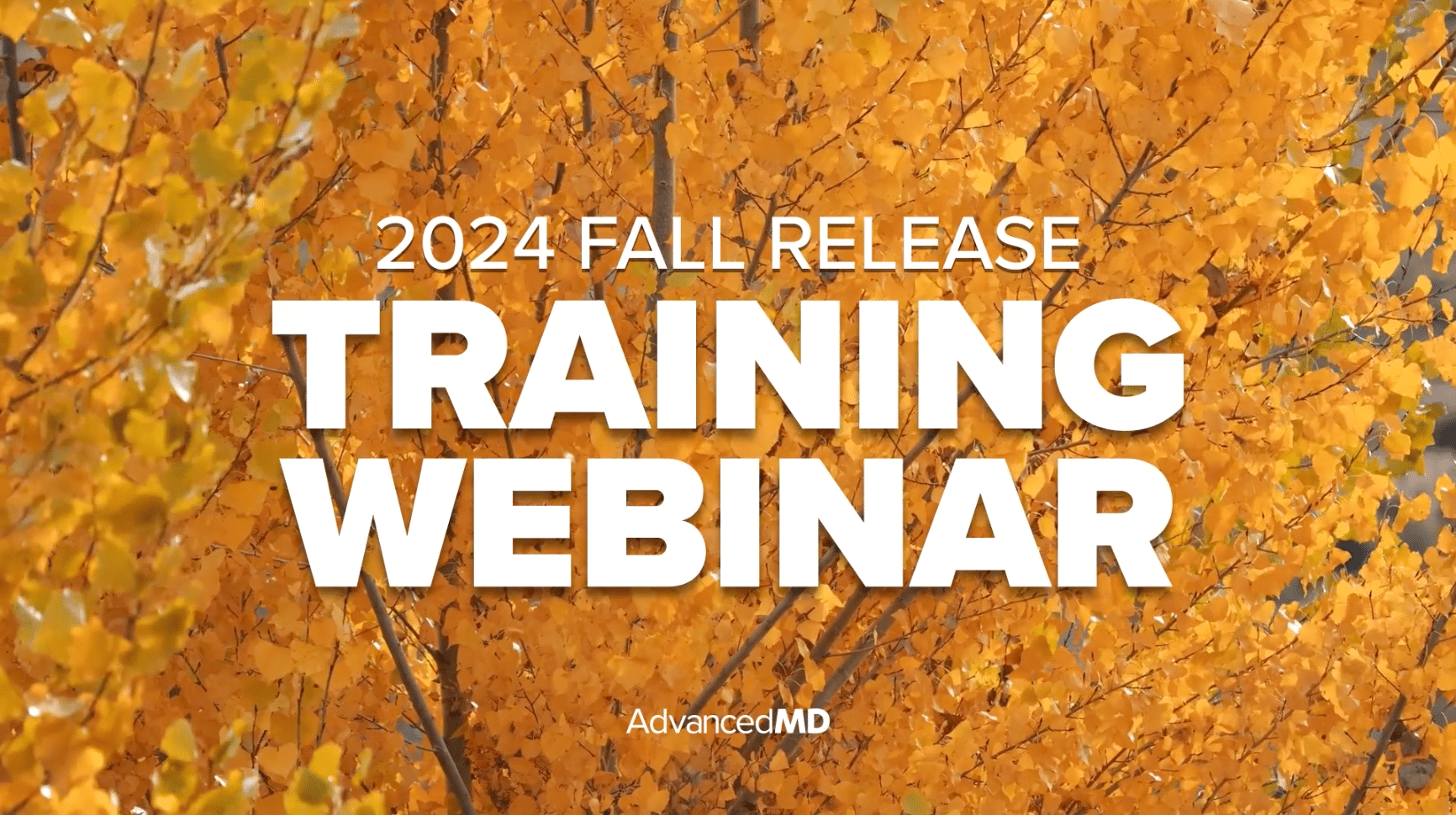 2024 Fall Release