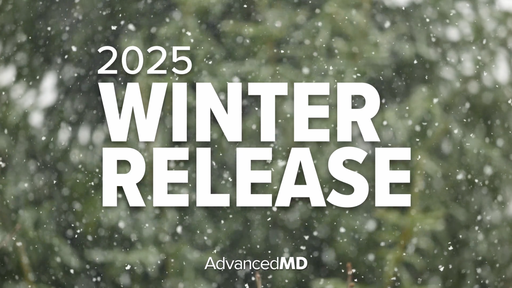 2025 Winter Release