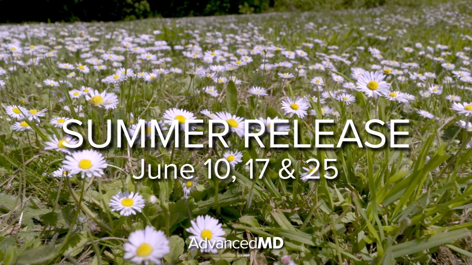 2025 Summer Release