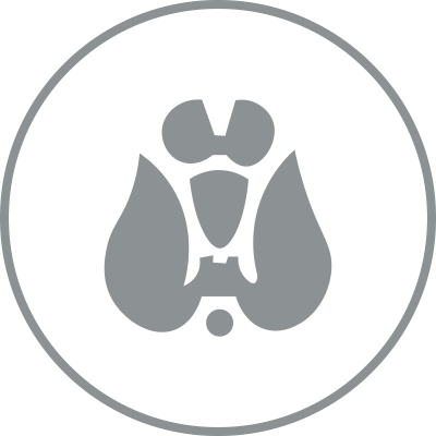 Thyroid Icon