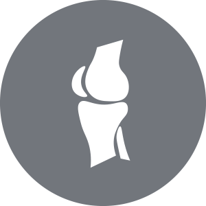 Orthopedic Icon