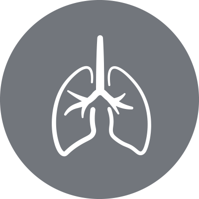 Pulmonary Icon
