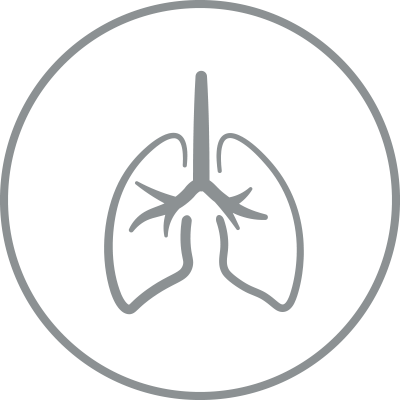 Lungs Icon